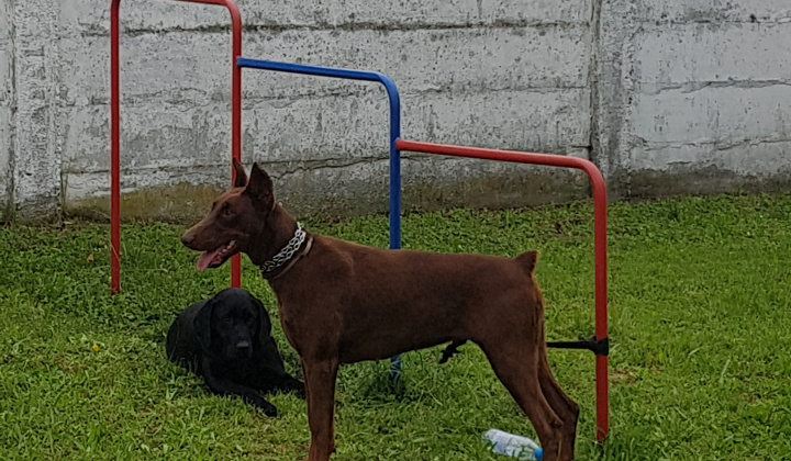 Deň detí  - 2018