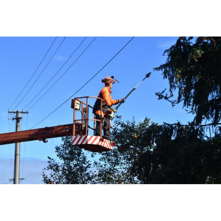 Menšia fotka pre článok Odstraňovanie konárov a kríkov
